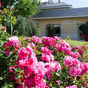 Hotel Auberge Bienvenue cazare Doue-la-Fontaine