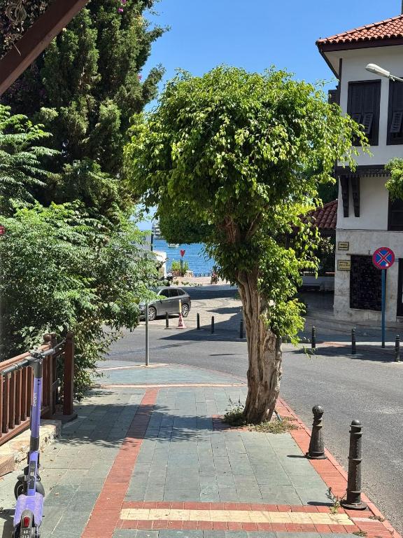 Hotel Temiz Hotel