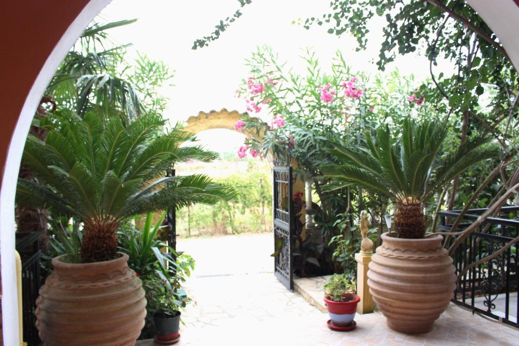 dal travel Villa Nefeli