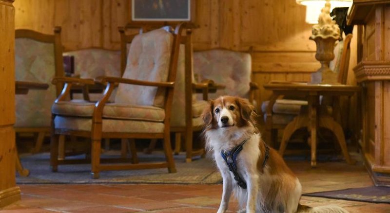 Hotel Alpenroyal Swiss Quality Zermatt