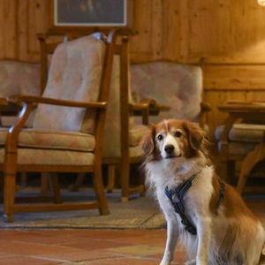 Hotel Alpenroyal Swiss Quality Zermatt cazare Zermatt