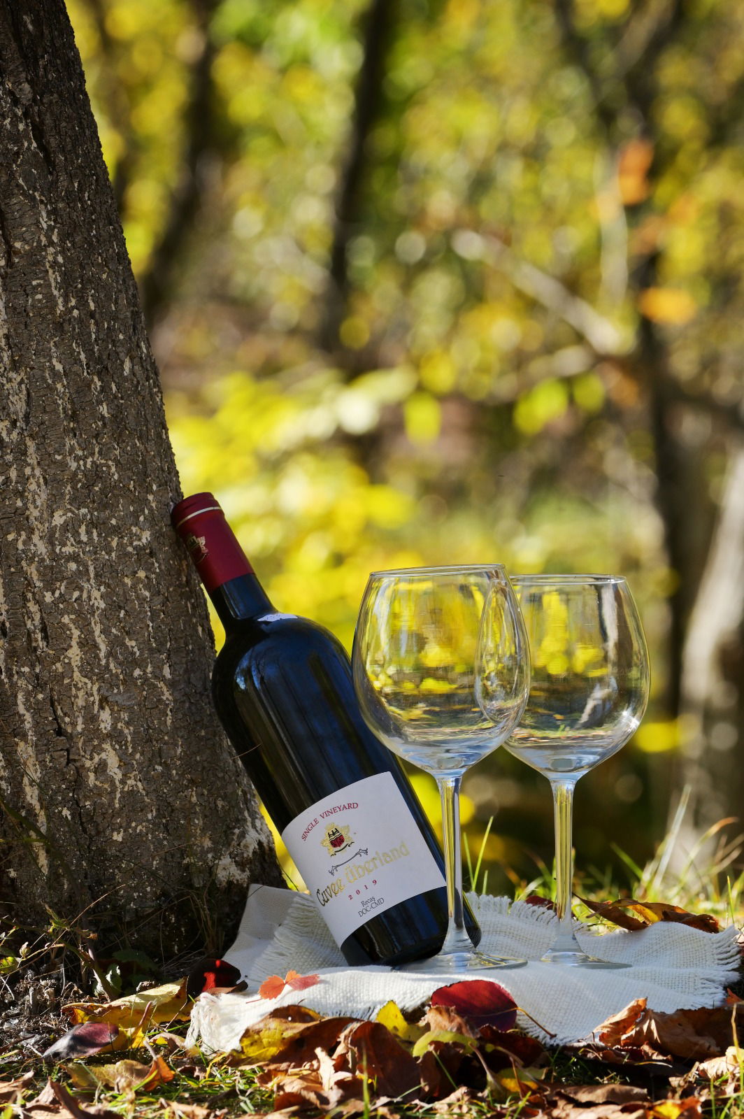 Hotel Alunis Retreat