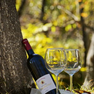 Hotel Alunis Retreat cazare Alunis