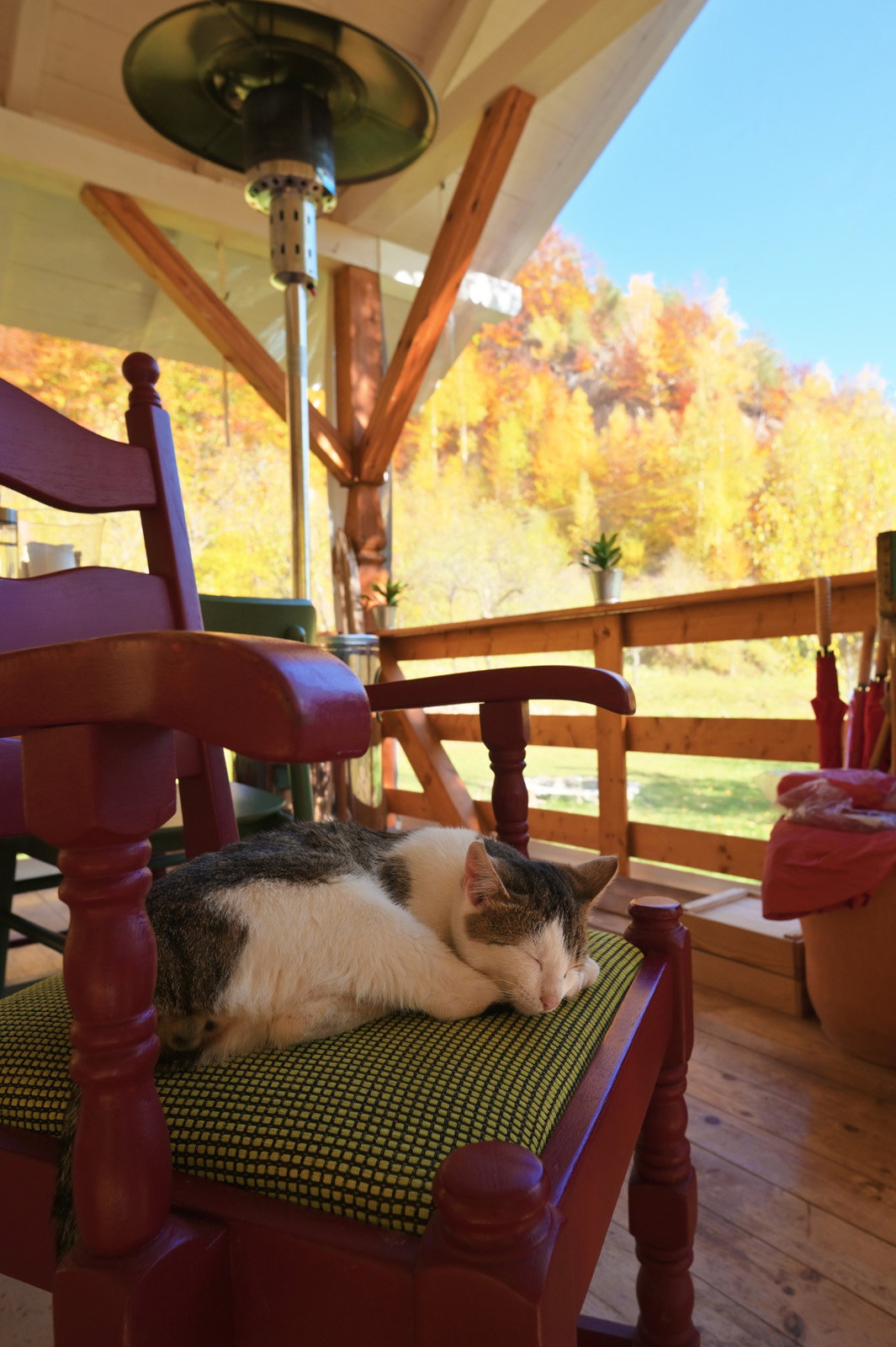 Alunis Retreat