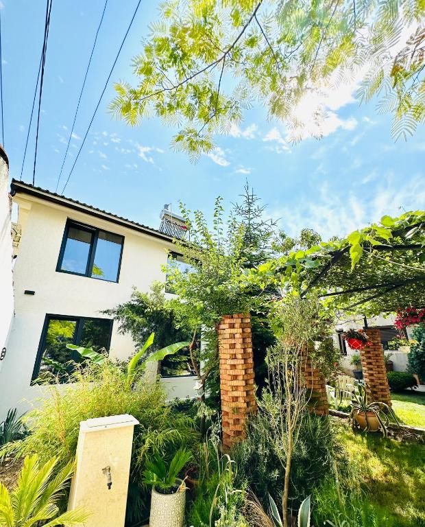 Saga Proprietate Administrata de O Gazda Particulara