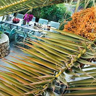 Hotel Alavya cazare Alacati