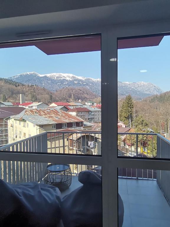 Tutu Apartment Sinaia