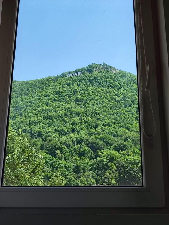 Cozy Place Poarta Schei