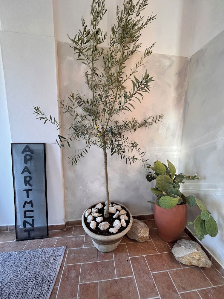 Hotel Belix Hotel Apartments Near The Beach