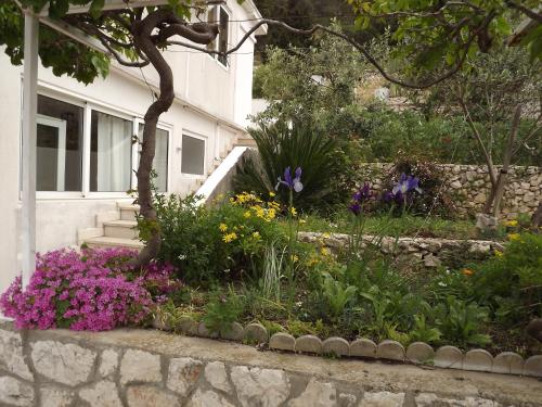 Hotel Guest House Vuljan