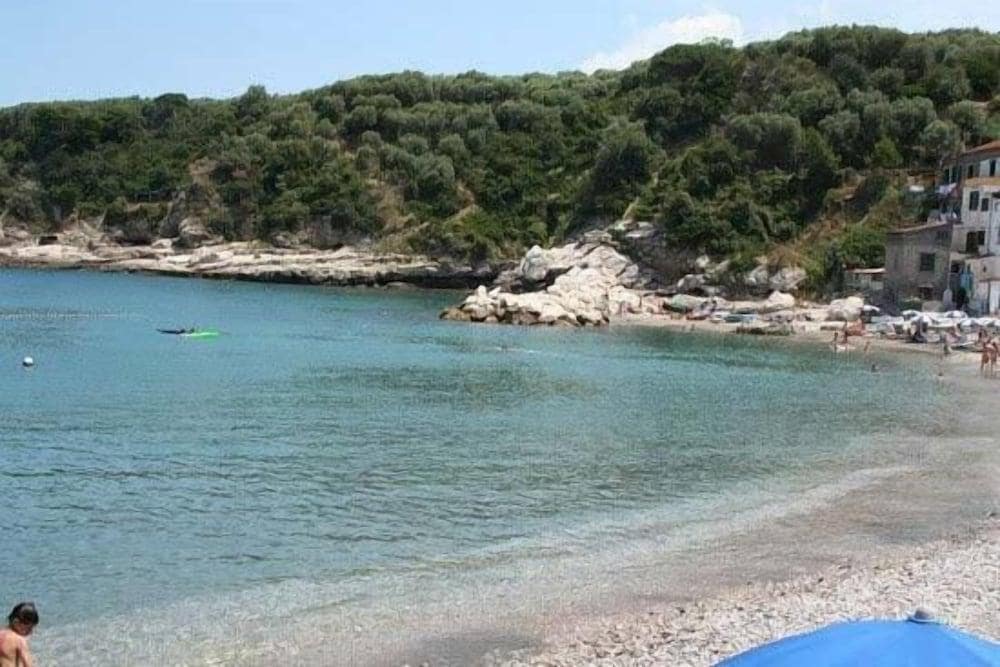 Savoia