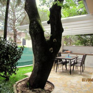 Hotel Holiday Park Mimoza cazare Istria