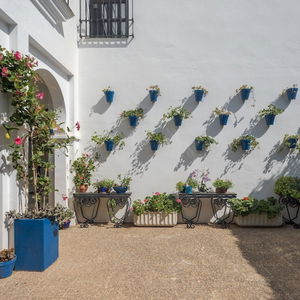 Hotel Ilunion Hacienda De Mijas cazare Mijas