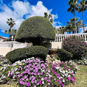 Hotel Las Dunas Grand Luxury cazare Estepona