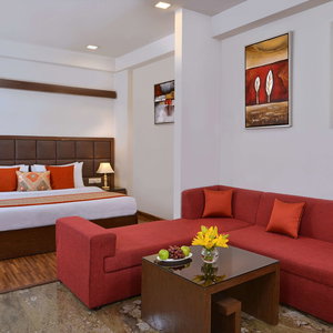 Hotel Taurus Sarovar Portico cazare Delhi