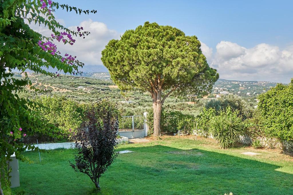 dal travel Apollon Hotel Apartments