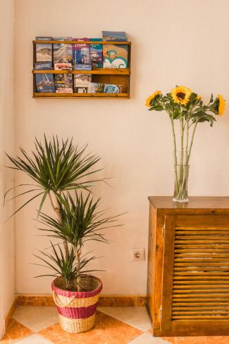 Hotel Hostal Jomarijo