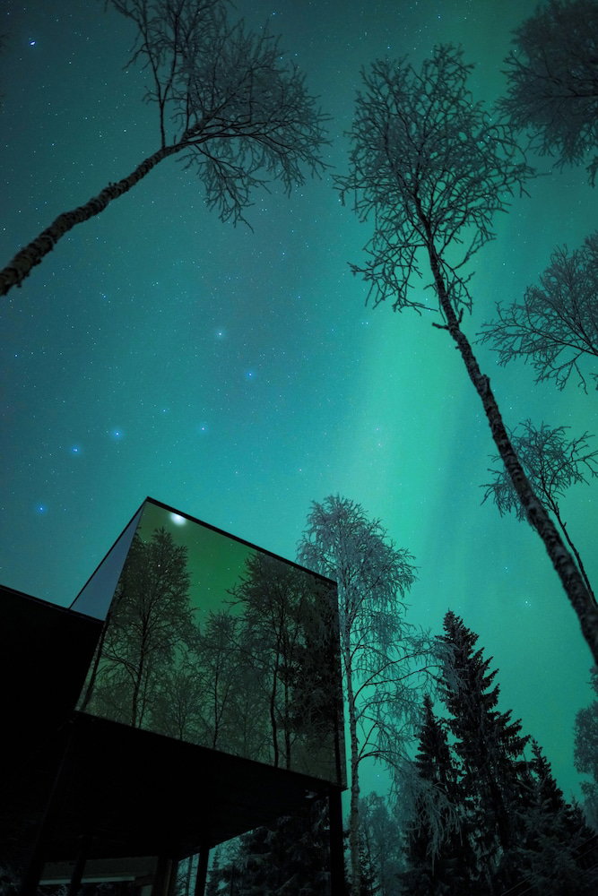 Hotel Silver Birch Resort