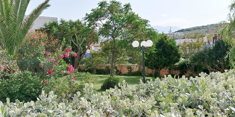 Elena Apartments Almirida