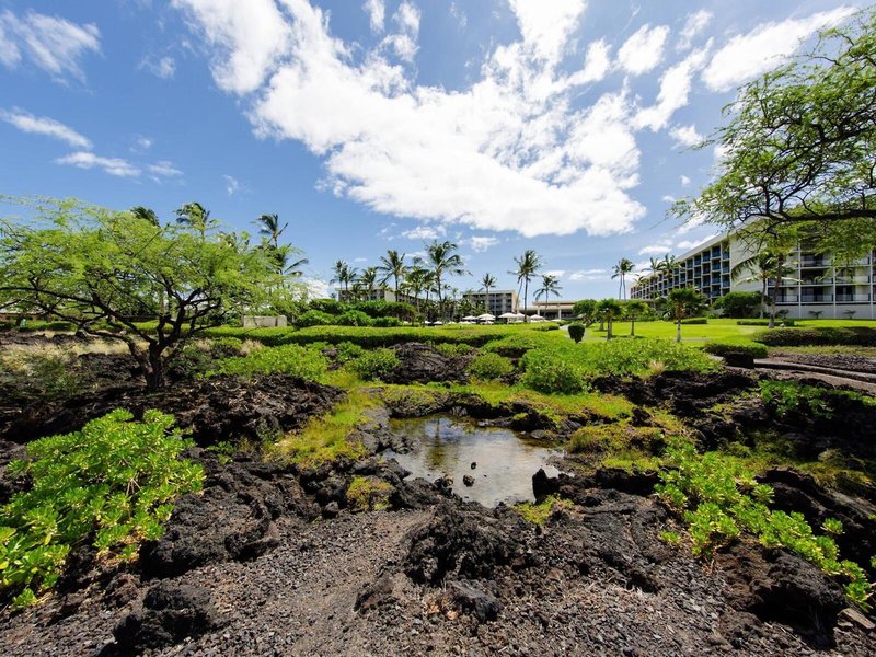 Marriott's Waikoloa Ocean Club