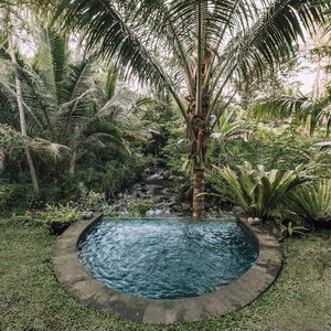 Hotel Hideout Bali cazare Bali