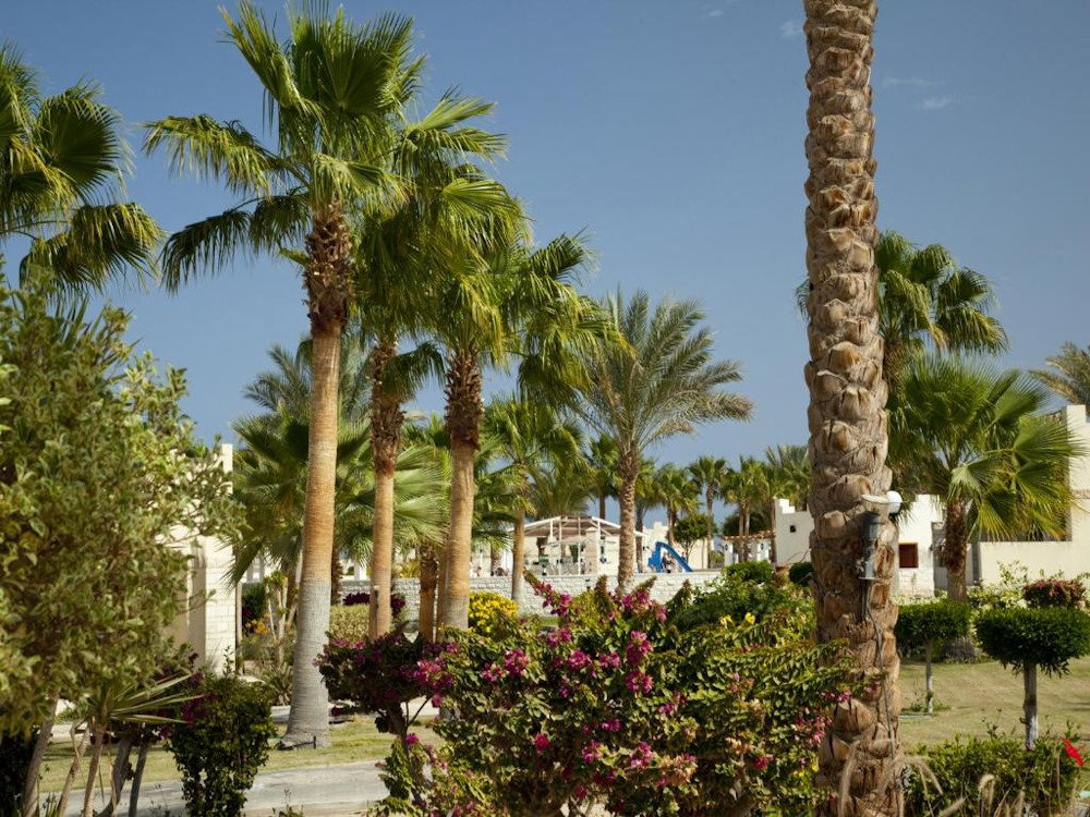 dal travel Coral Beach Hurghada