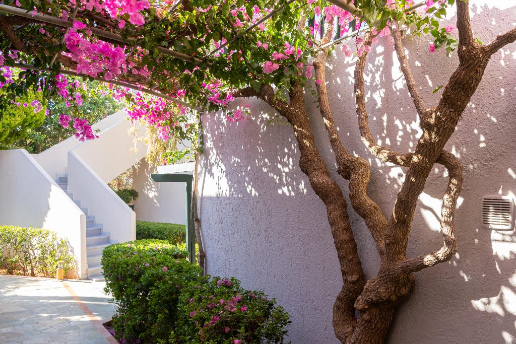 dal travel Anna Maria Village