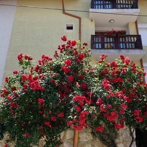 Sejur Margarita vacanta Nisipurile de Aur