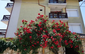 Hotel Margarita cazare Nisipurile de Aur