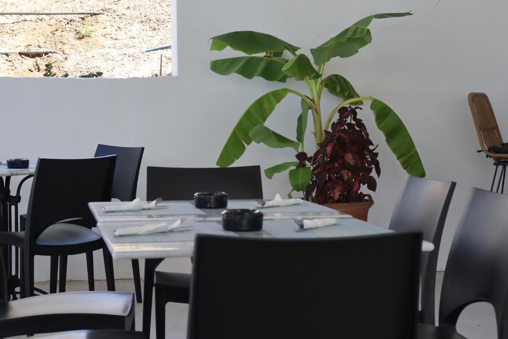 dal travel Evita Alegria Hotel