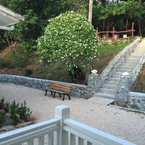 Hotel Shell Villa Apartel Resort cazare Koror