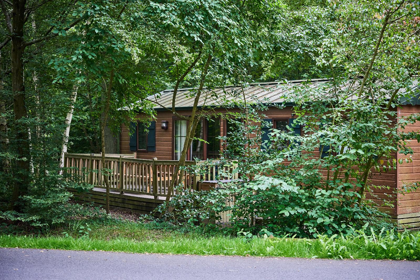 Disney Davy Crockett Ranch