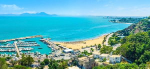 Hotel La Villa Bleue cazare Sidi Bou Said