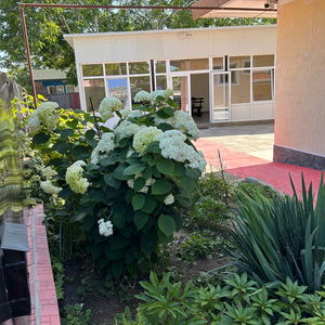 Hotel Sea Breeze Costinești cazare Costinesti