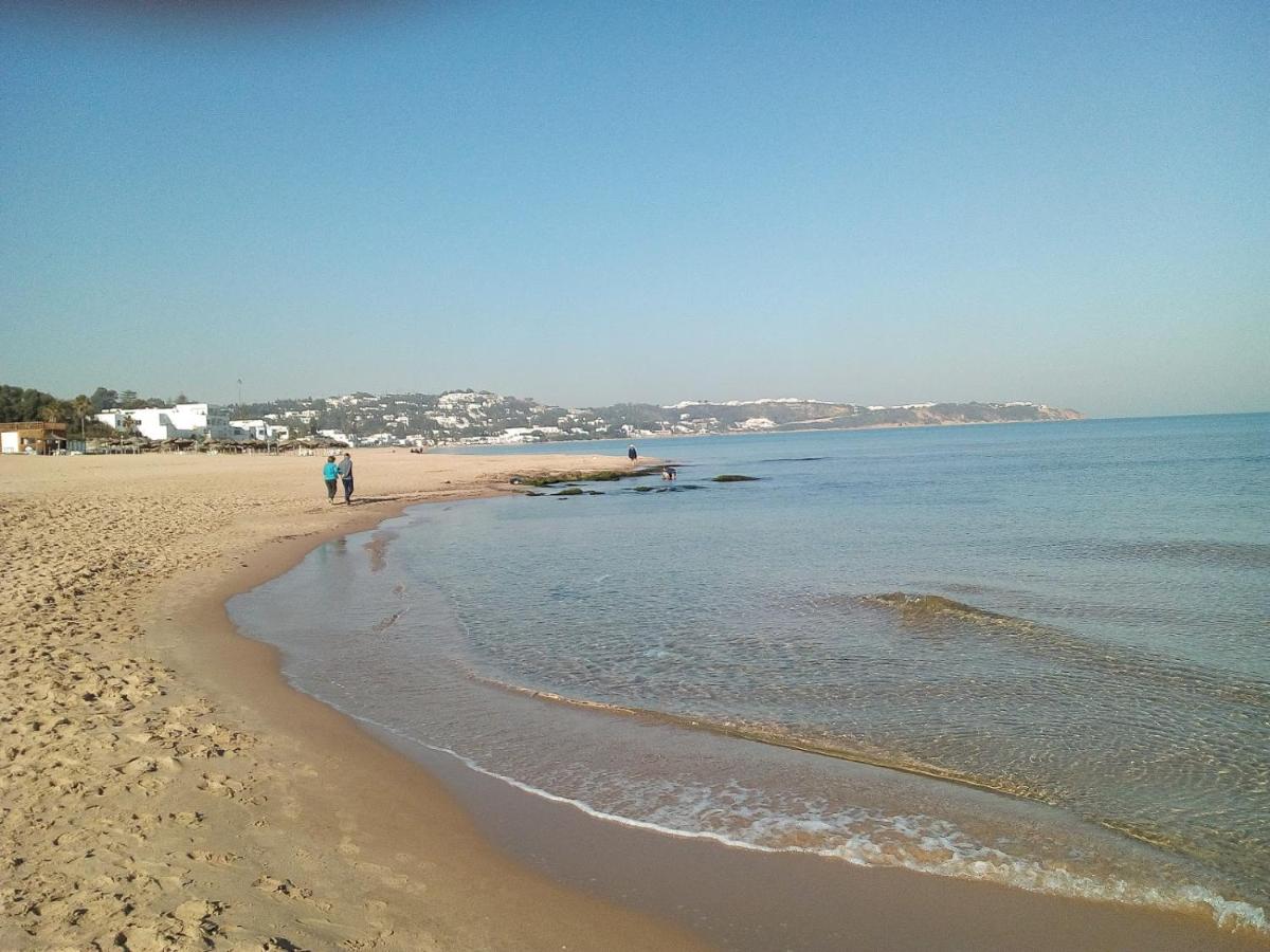 Dar El Marsa