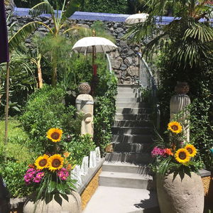 Hotel Dazkarizeh 73 cazare Ribeira Brava