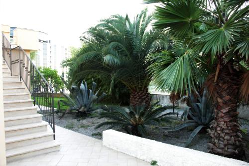 Hotel San Michele Apartments