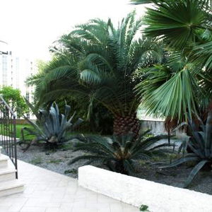 Hotel San Michele Apartments cazare Catanzaro