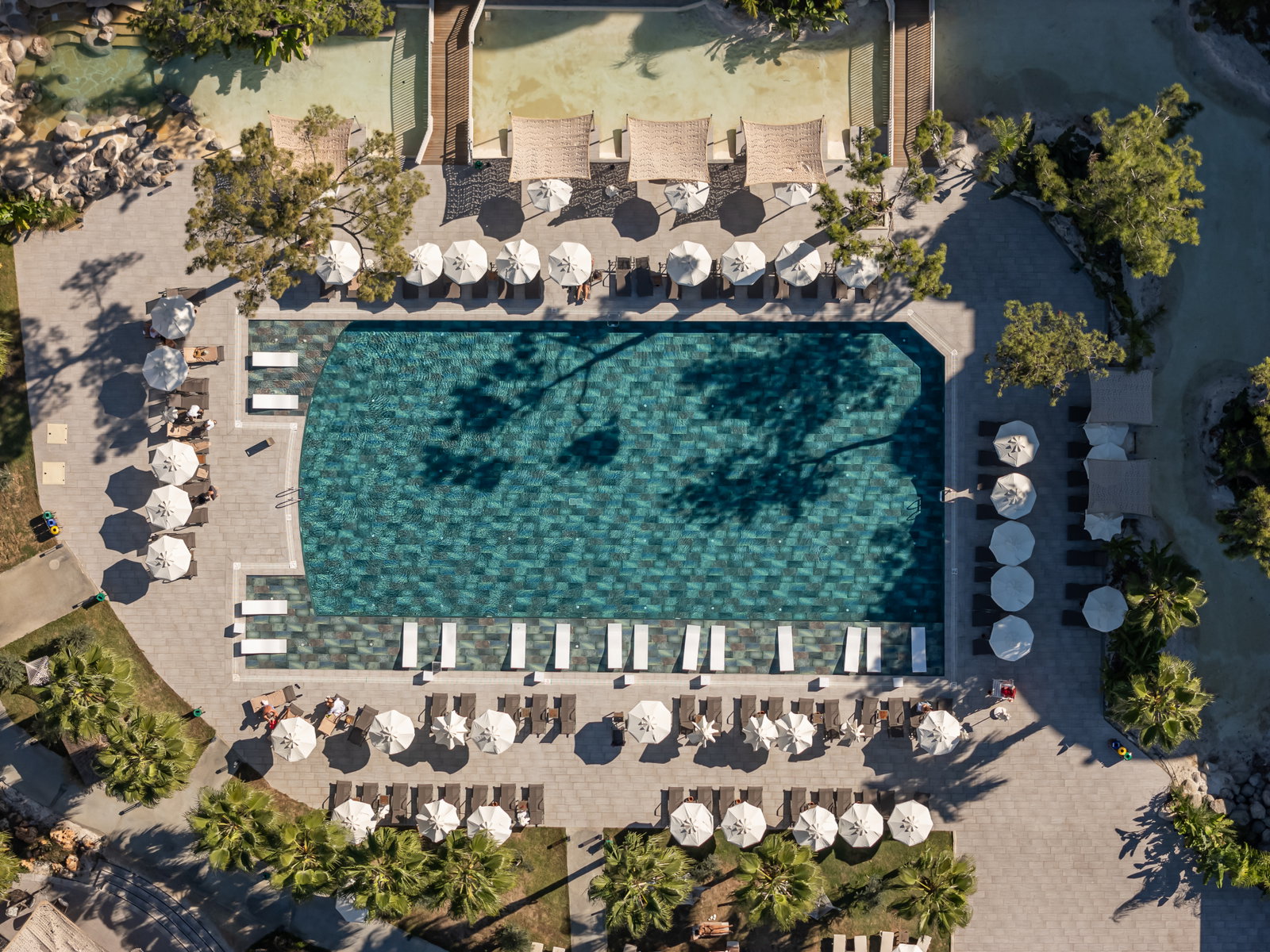 dal travel Berry Blue Hotel
