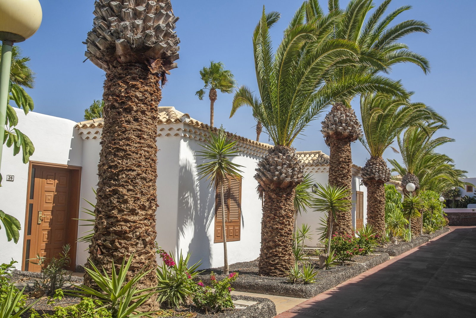 dal travel Royal Tenerife Country Club
