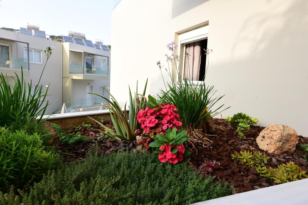 dal travel Blue Horizon Apartments