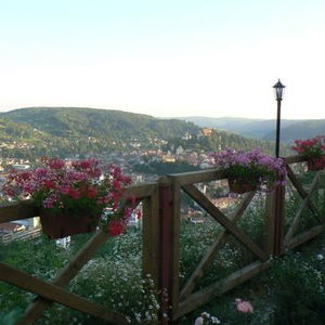 Hotel Pension Bella Vista cazare Sighisoara