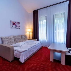 Hotel Pensiunea Campionilor cazare Predeal