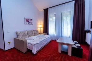 Hotel Pensiunea Campionilor cazare Predeal