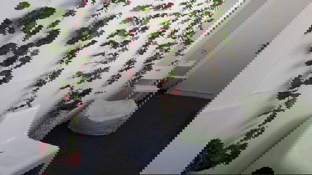 Hotel Malaga Centro Hostel