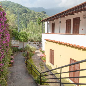 Hotel Hotel Ape Regina cazare Ischia