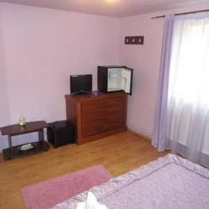 Hotel Pensiunea Darian & David cazare Gura Raului