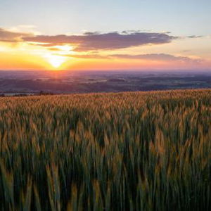 Hotel Hochhubergut cazare Steyr