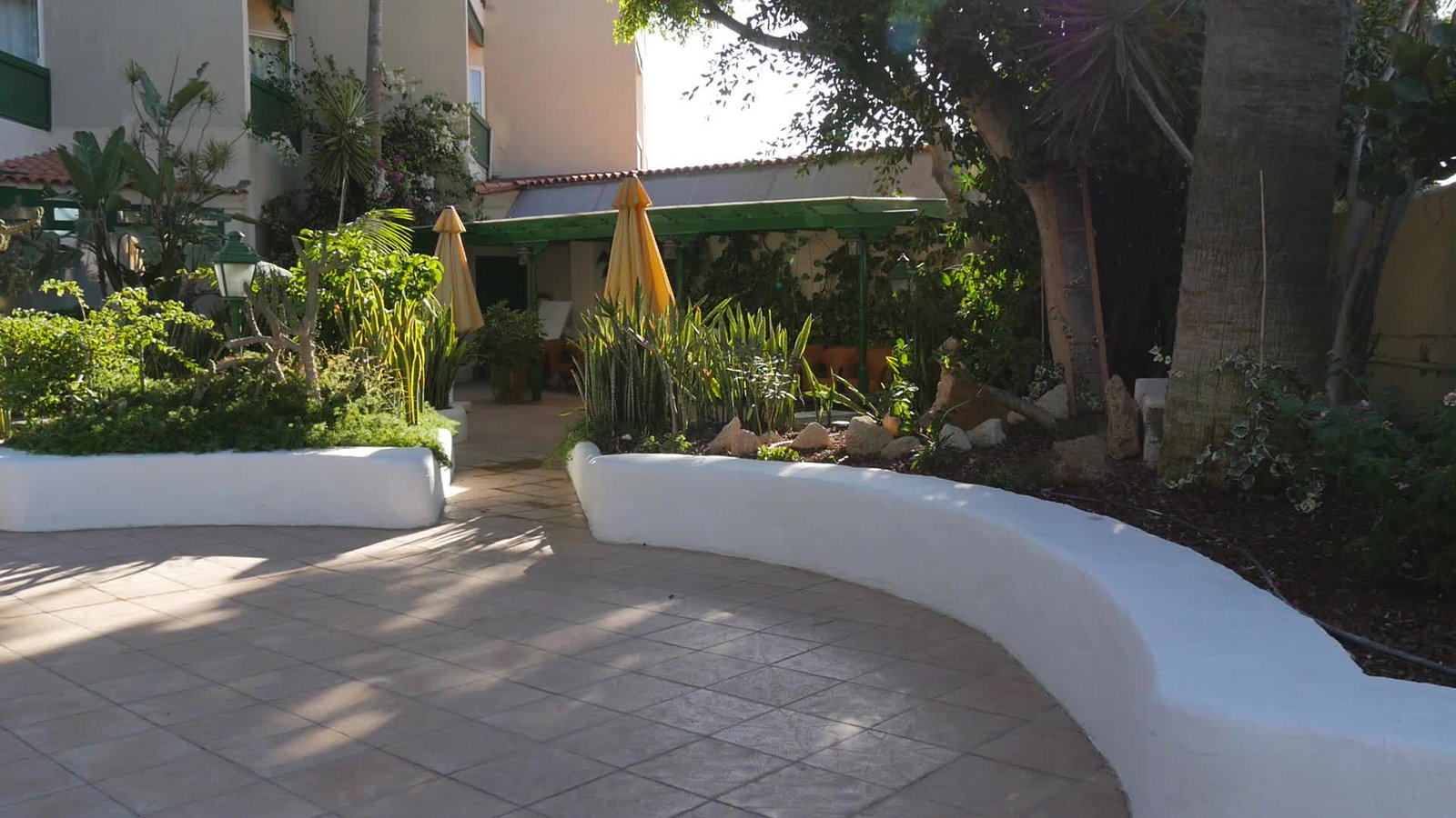 dal travel Playa Surf Cbbc Hotel