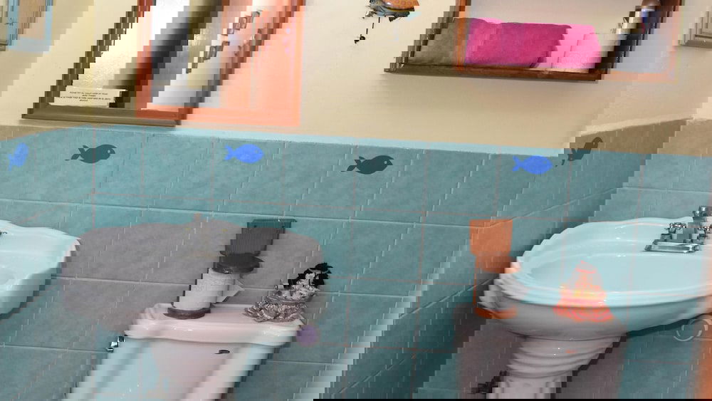 Hotel Cancun Guest House 1